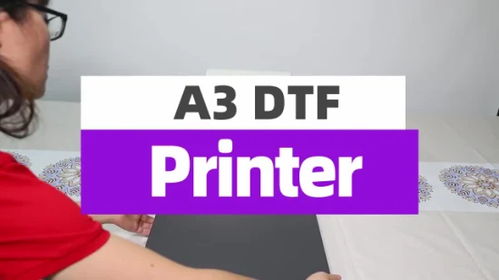 Erasmart 소형 데스크탑 디지털 패브릭 섬유 의류 A3 Dtf 프린터 애완 동물 필름 열전달 프레스 잉크젯 Tshirt T